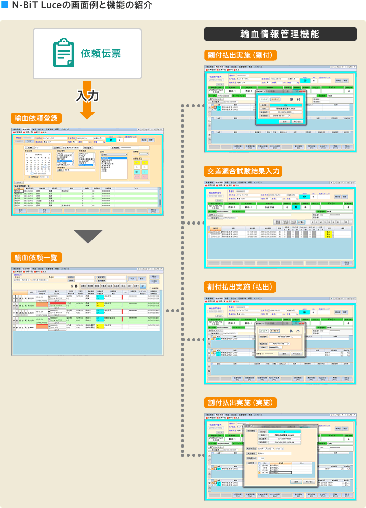 N-BiT Luceの画面例と機能の紹介