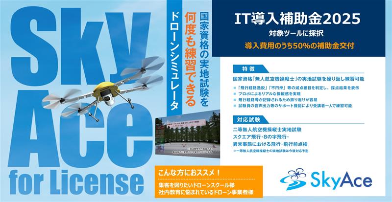 SkyAceIT導入補助金2025