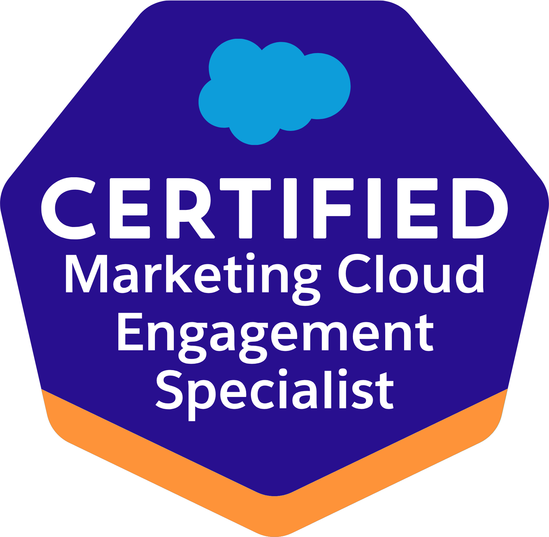 Salesforce Certified Marketing Cloud Engagement Specialist